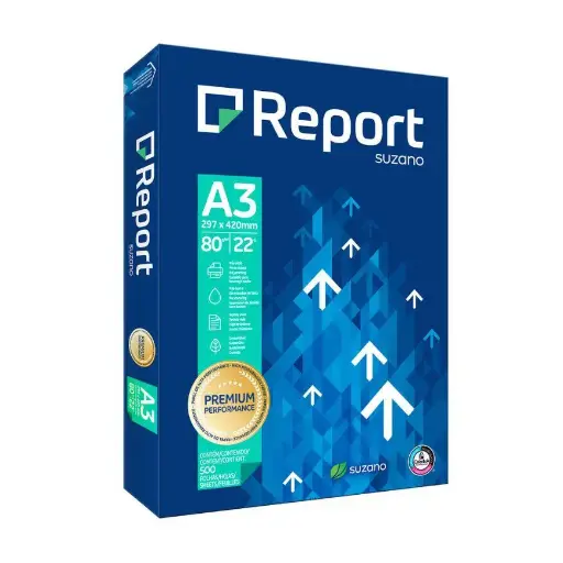 Papel bond report